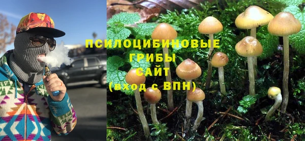хмурый Балахна
