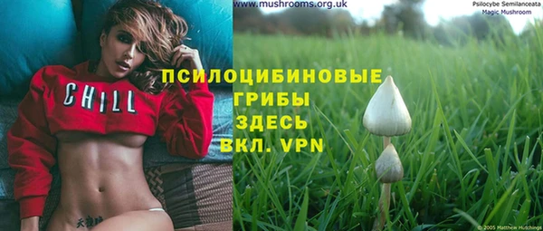 дмт Баксан