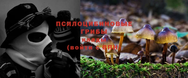 МДПВ Белокуриха