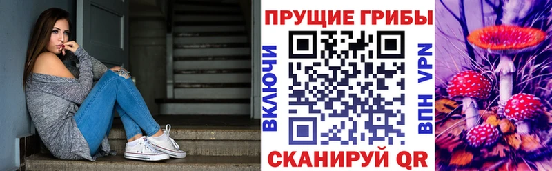 Псилоцибиновые грибы Cubensis  дарнет шоп  кракен tor  Красный Холм 